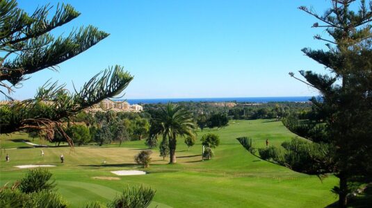 Diseño- Pagina entorno