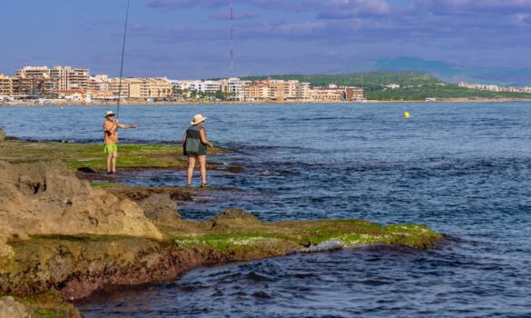Diseño - Página Propiedades en venta Costa Blanca